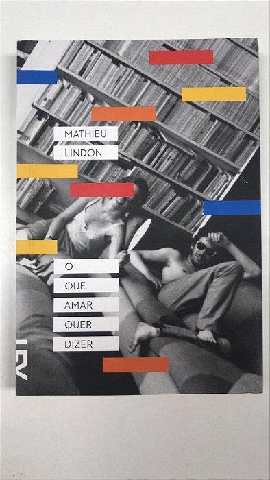 Livro o que Amar Quer Dizer Autor Lindon, Mathieu (2014) [seminovo]