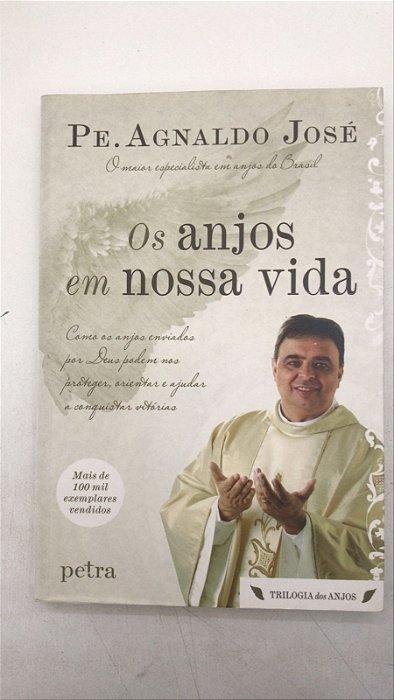 Livro os Anjos em Nossa Vida Autor José, Pe. Agnaldo (2015) [usado]