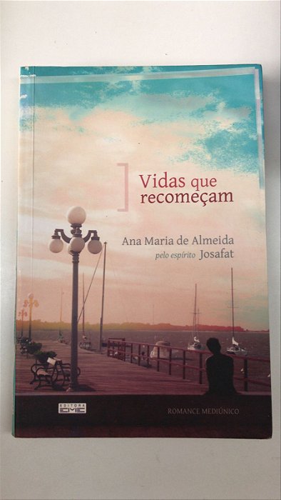 Livro Vidas que Recomeçam Autor Almeida, Ana Maria de (2013) [usado]