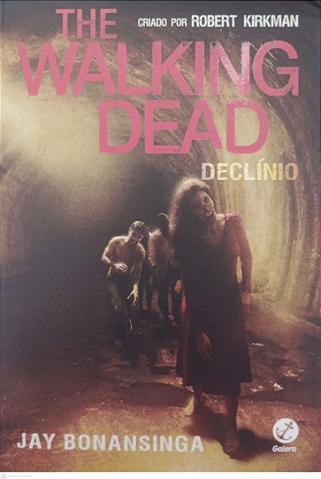 Livro Declínio - The Walking Dead Autor Bonansinga, Jay (2015) [seminovo]
