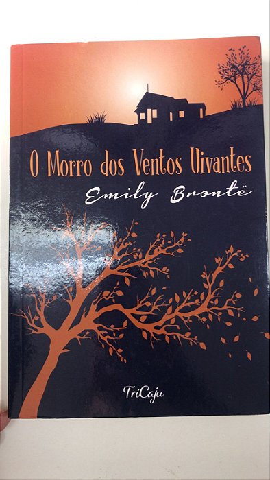 Livro o Morro dos Ventos Uivantes Autor Bronte, Emily (2021) [usado]