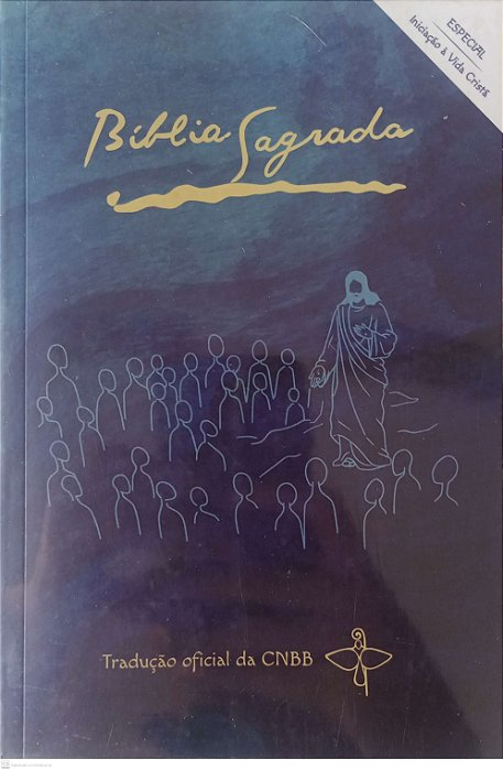 Livro Bíblia Sagrada - Cnbb Iniciação À Vida Cristã Autor Vários Autores (2019) [seminovo]
