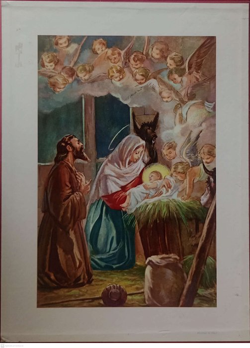 Livro Bíblia Resumida e Ilustrada Autor Vários Autores [usado]