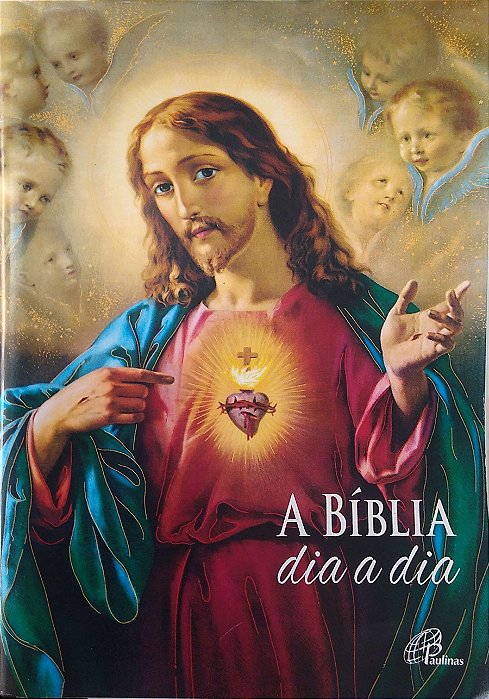 Livro a Bíblia Dia a Dia Autor Desconhecido (2019) [seminovo]
