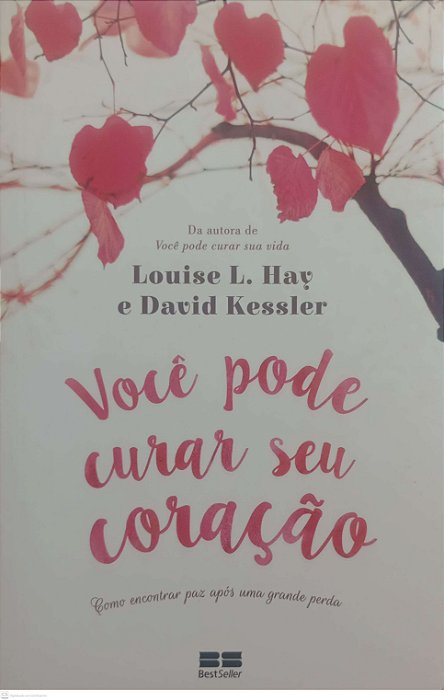 Livro Você Pode Curar seu Coração Autor Hay, Louise L. (2018) [seminovo]