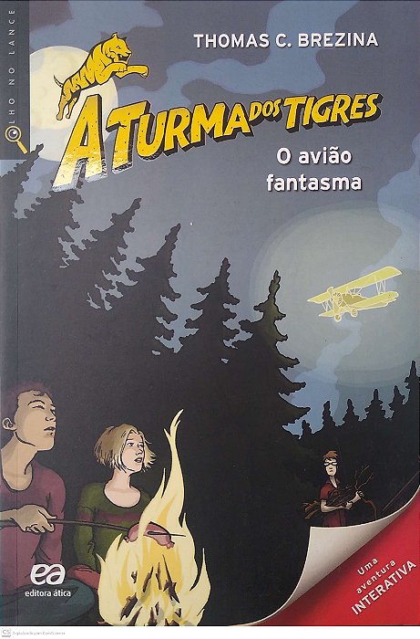 Livro a Turma dos Tigres: o Avião Fantasma Autor Brezina, Thomas C. (2012) [seminovo]