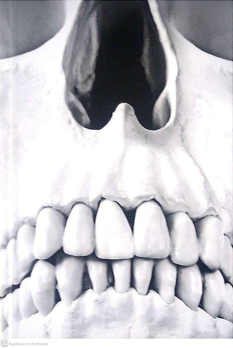 Livro Arquivos Serial Killers; Louco ou Cruel? Autor Casoy, Ilana (2017) [seminovo]