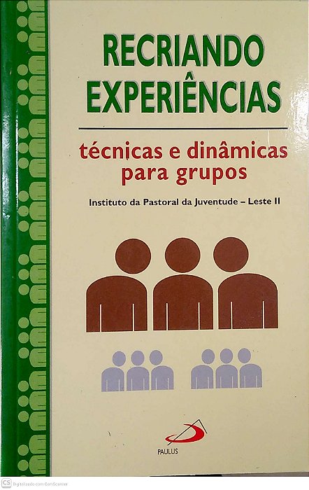 Livro Recriando Experiências; Técnicas e Dinâmicas para Grupos. Autor Instituto da Pastoral da Juventude - Leste Ii (1997) [usado]