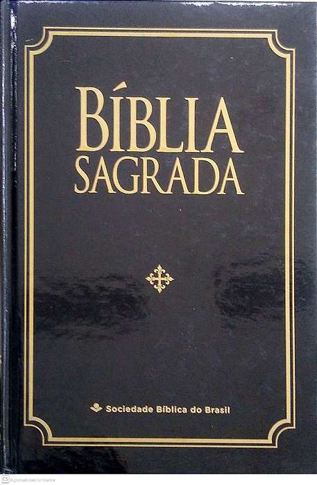 Livro Bíblia Sagrada Autor Diversos (2013) [usado]
