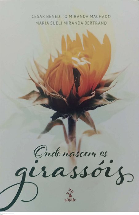 Livro onde Nascem os Girassóis Autor Machado, Cesar Benedito Miranda (2019) [seminovo]