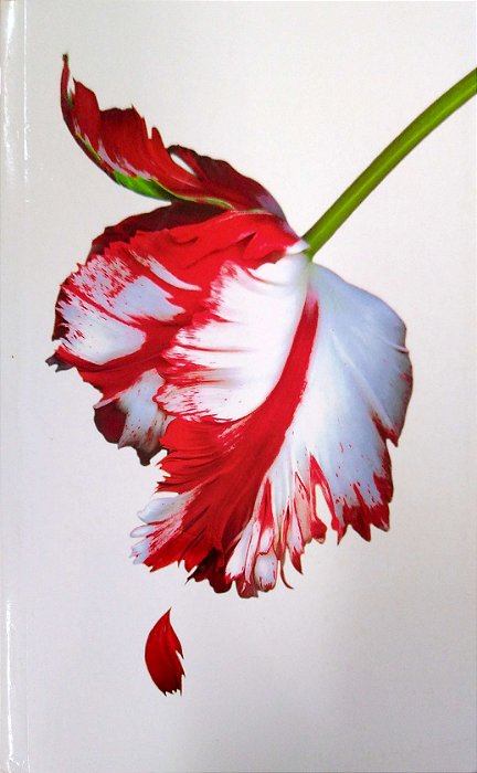 Livro Lua Nova (crepúsculo; 2) Autor Meyer, Stephenie (2009) [usado]