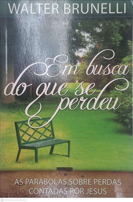 Livro em Busca do que Se Perdeu Autor Brunelli, Walter (2013) [usado]