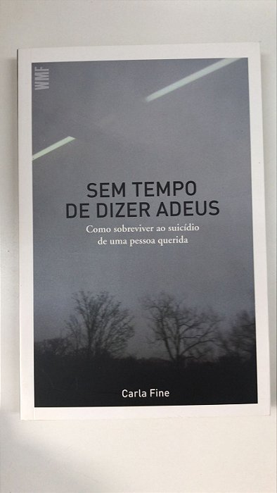 Livro sem Tempo de Dizer Adeus: Como Sobreviver ao Suicídio de Uma Pessoa Querida Autor Fine, Carla (2018) [usado]