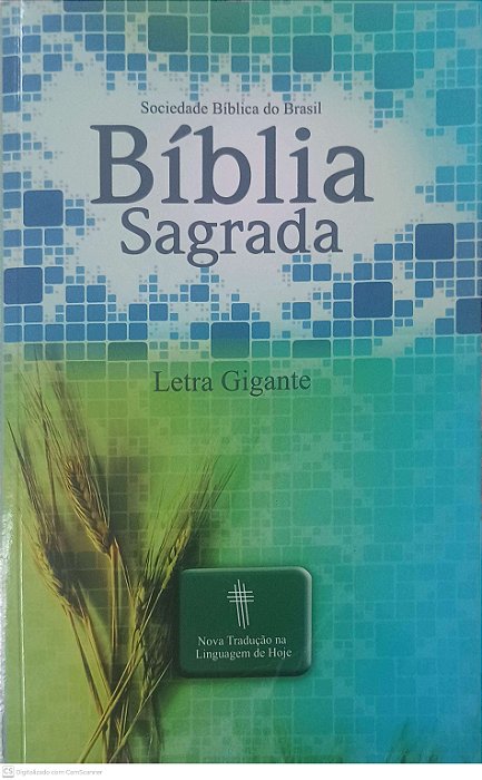 Livro Biblia Sagrada - Ntlh Nova Traducao na Linguagem de Hoje - Letra Grande (capa Trigo) Autor Desconhecido (2012) [usado]