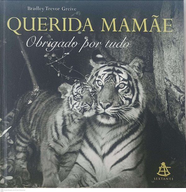Livro Querida Mamãe Obrigado por Tudo Autor Greive, Bradley Trevor (2001) [usado]