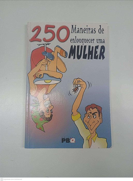 Livro 250 Maneiras de Enlouquecer Uma Mulher Autor Rodrigues, Renato [usado]