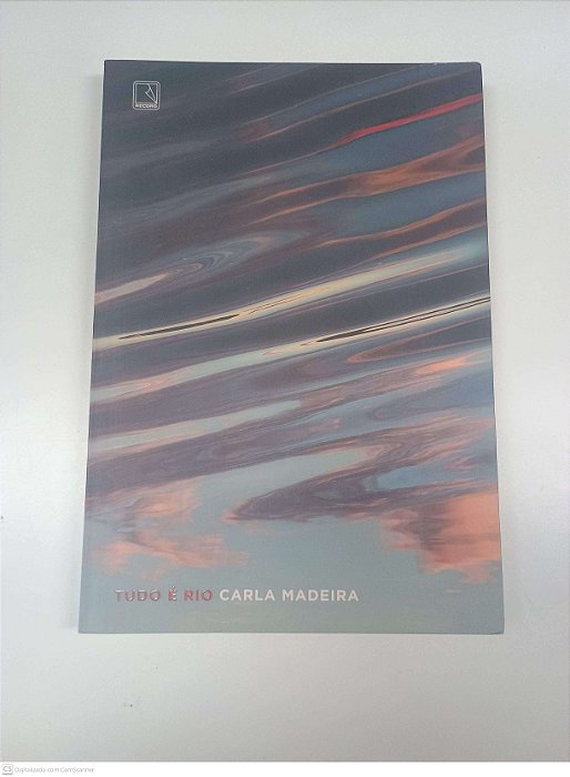 Livro Tudo é Rio Autor Madeira, Carla (2022) [usado]