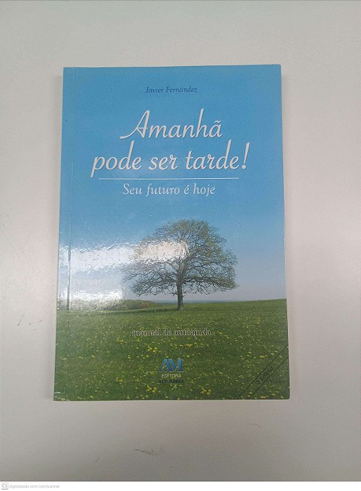 Livro Amanhã Pode Ser Tarde - seu Futuro é Hoje Autor Fernández, Javier (2013) [usado]