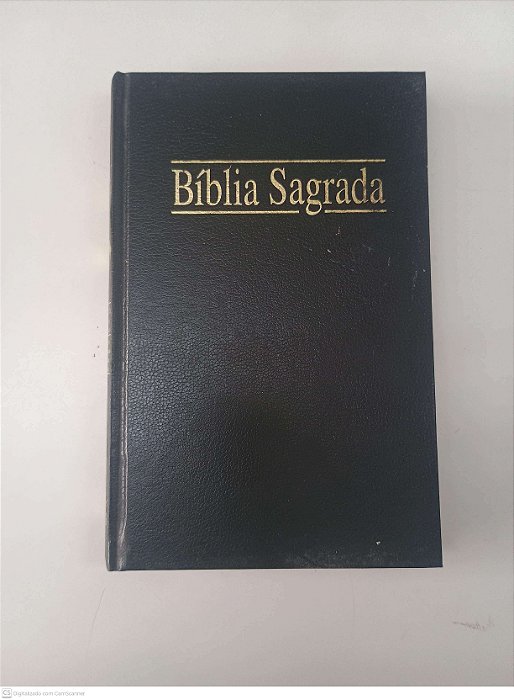Livro Biblia Sagrada Autor Almeida, João Ferreira de (1999) [usado]