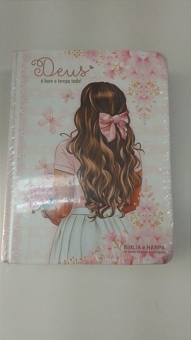 Livro Biblia Sagrada Autor Desconhecido [usado]