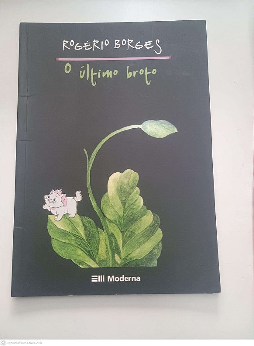 Livro o Ultimo Broto Autor Borges, Rogério (2004) [usado]