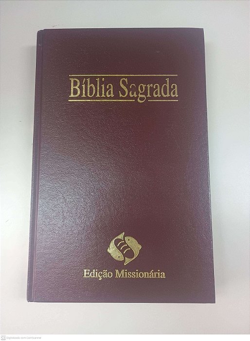 Livro Biblia Sagrada Autor Desconhecido (1993) [usado]