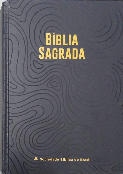 Livro Bíblia Sagrada Autor Diversos (2013) [seminovo]