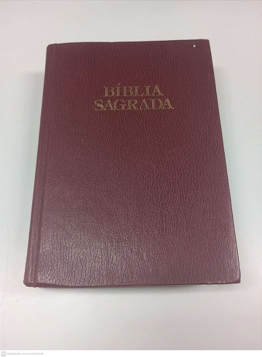 Livro Biblia Sagrada Autor Desconhecido [usado]