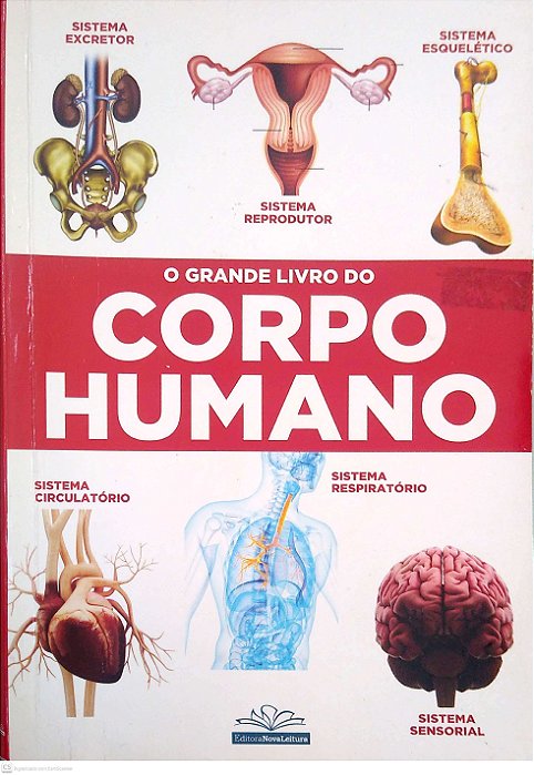 Livro o Grande Livro do Corpo Humano Autor Desconhecido (2021) [usado]