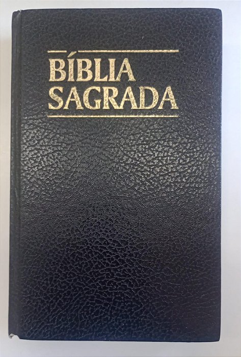 Livro Bíblia de Almeida Autor Vários Autores (1995) [usado]