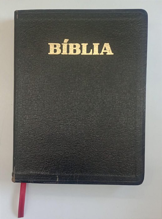 Livro Bíblia Almeida Sbb Autor Vários Autores (2002) [usado]