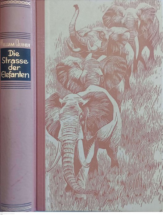 Livro Die Strasse Der Elefanten Autor Quindt, William (1956) [usado]