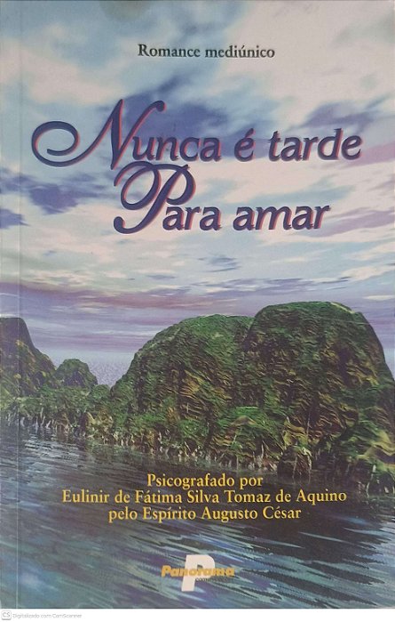 Livro Nunca é Tarde para Amar Autor Aquino, Eulinir de Fatima Silva Tomaz de (1999) [usado]