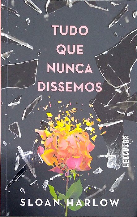 Livro Tudo o que Nunca Dissemos Autor Harlow, Sloan (2024) [seminovo]