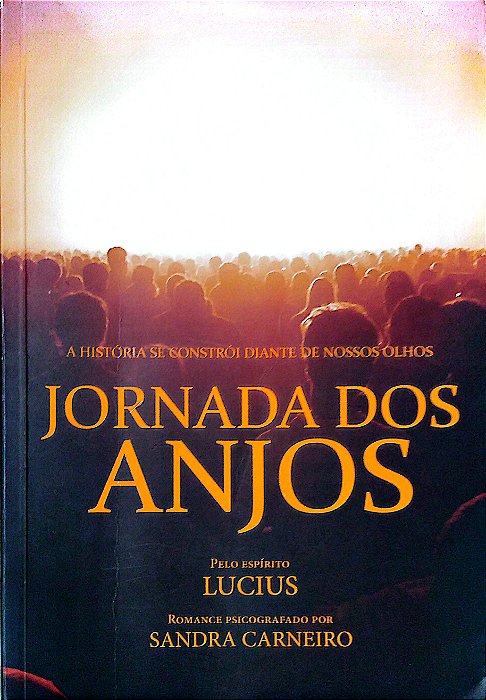 Livro a Jornada dos Anjos Autor Carneiro, Sandra (2013) [usado]