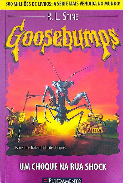 Livro Goosebumps: um Choque na Rua Shock Autor Stine, R. L. (2008) [usado]