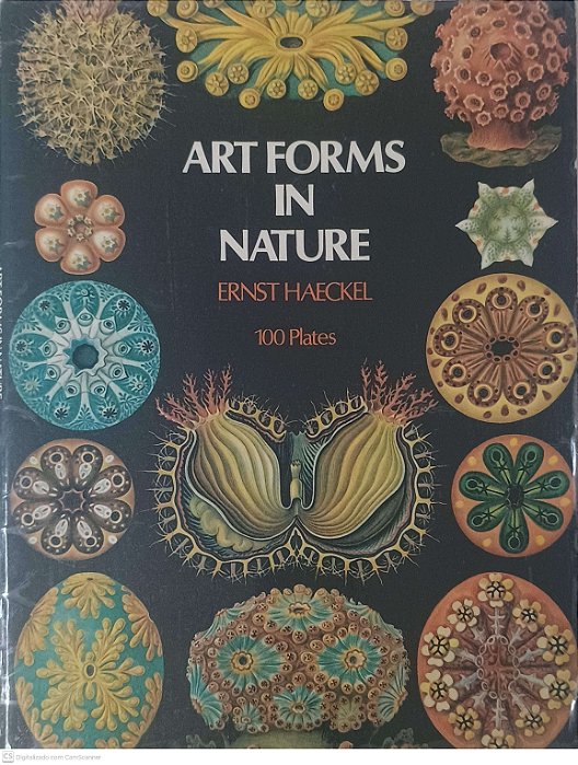 Livro Art Forms In Nature Autor Haeckel, Ernst [usado]