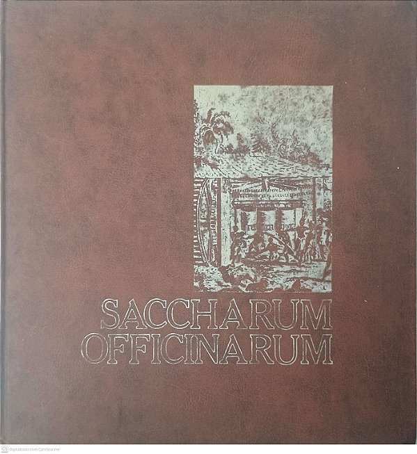 Livro Saccharum Officinarum Autor Desconhecido [usado]
