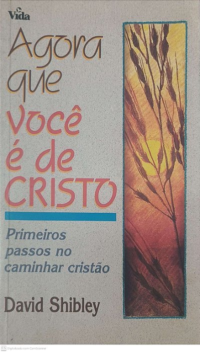 Livro Agora que Você Cristo: Primeiros Passos no Caminhar Cristão Autor Shibley, David (2003) [usado]