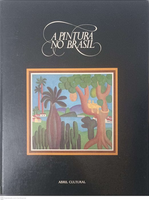 Livro a Pintura no Brasil Autor Desconhecido [usado]