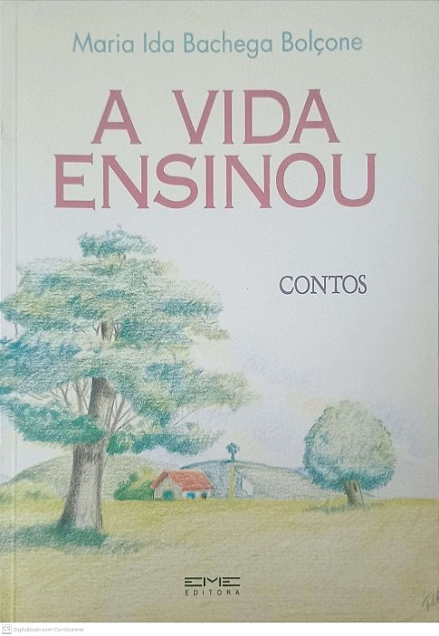 Livro a Vida Ensinou Autor Bolçone, Maria Ida Bachega [usado]
