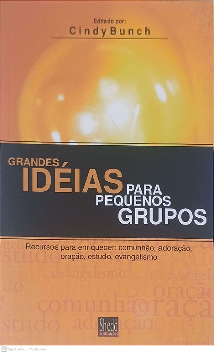 Livro Grandes Ideias para Pequenos Grupos Autor Bunch, Cindy (2014) [usado]