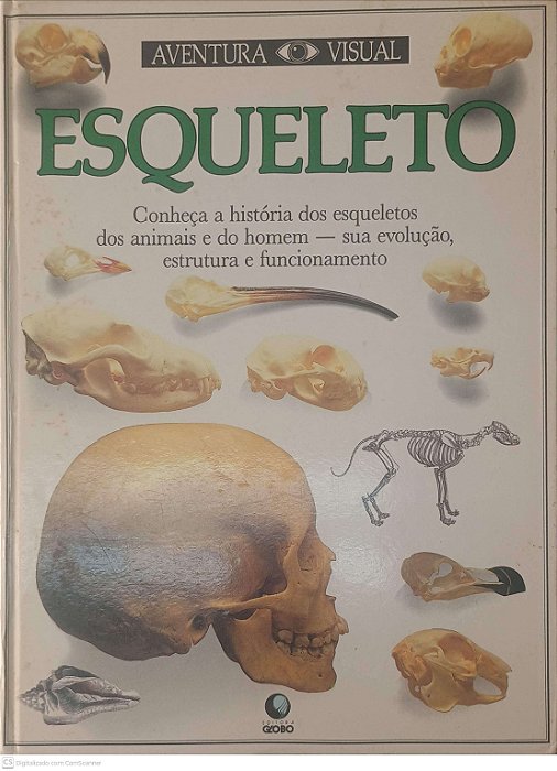 Livro Aventura Visual Esqueleto - Conheça a História dos Esqueletos dos Animais e do Homem: sua Evelução , Estrutura e Funcionamento Autor Desconhecido [usado]