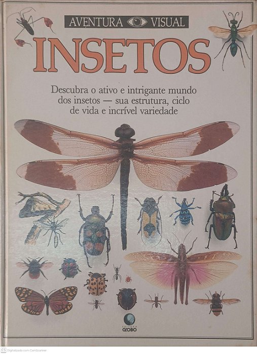 Livro Aventura Visual Insetos - Descubra o Ativo e Intrigante Mundo dos Insetos: sua Estrutura, Ciclo de Vida e Incrivel Variedade Autor Desconhecido [usado]