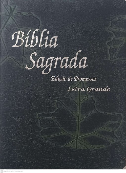 Livro Biblia Sagrada Edição de Promessas - Letra Grande Autor Varios Autores [usado]