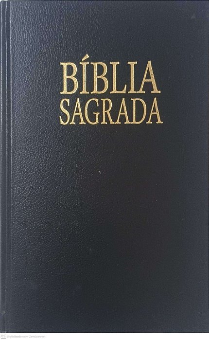 Livro Biblia Sagrada Autor Varios Autores (2000) [usado]