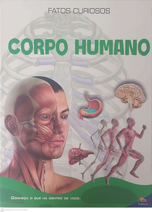 Livro Fatos Curiosos: Corpo Humano Autor Desconhecido (2025) [usado]