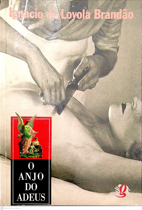 Livro o Anjo do Adeus Autor Brandão, Ignácio de Loyola (1995) [usado]