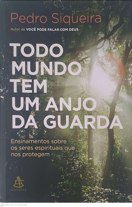 Livro Todo Mundo Tem um Anjo da Guarda Autor Siqueira, Pedro (2016) [usado]