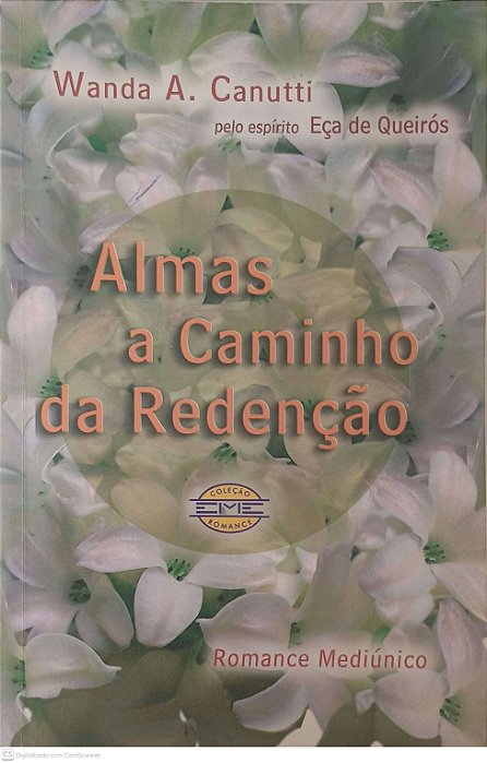 Livro Almas a Caminho da Redenção Autor Canutti, Wanda A. (2003) [usado]